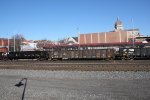 NS 210173